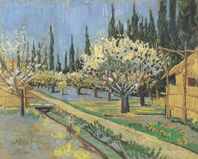 Vincent Van Gogh Orchard in Blossom,Bordered by Cypresses (nn04) Spain oil painting art